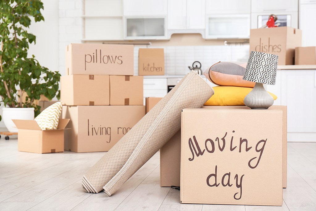 College Packing Tips for Your Freshman Move – Freshman Fun Box®️